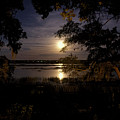 Harvest Moon
