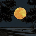 Super Equinox Moon